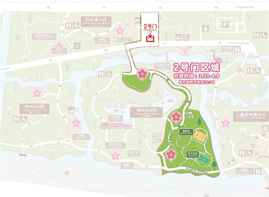 2026上海樱花节来了!