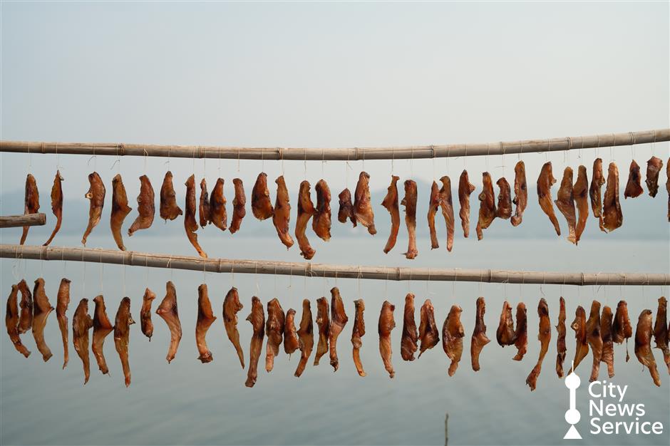 [Weekend Escape] Just 1.5 Hours From Shanghai, the Sea at Ningbo