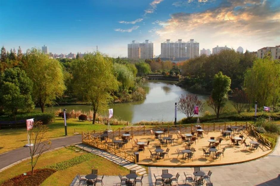 湖邊、樹上、稻田裡......上海最特別的美術館