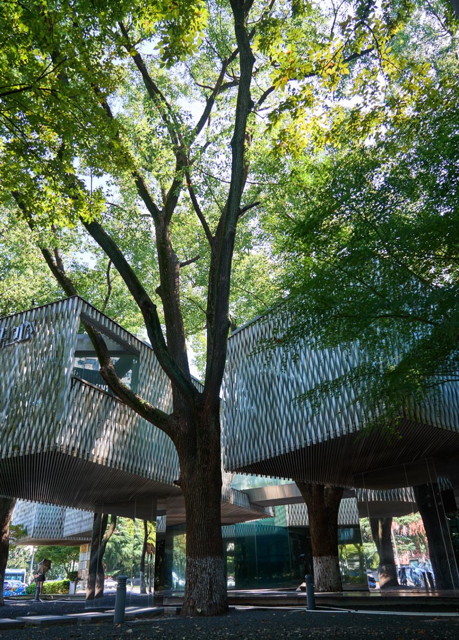 湖邊、樹上、稻田裡......上海最特別的美術館