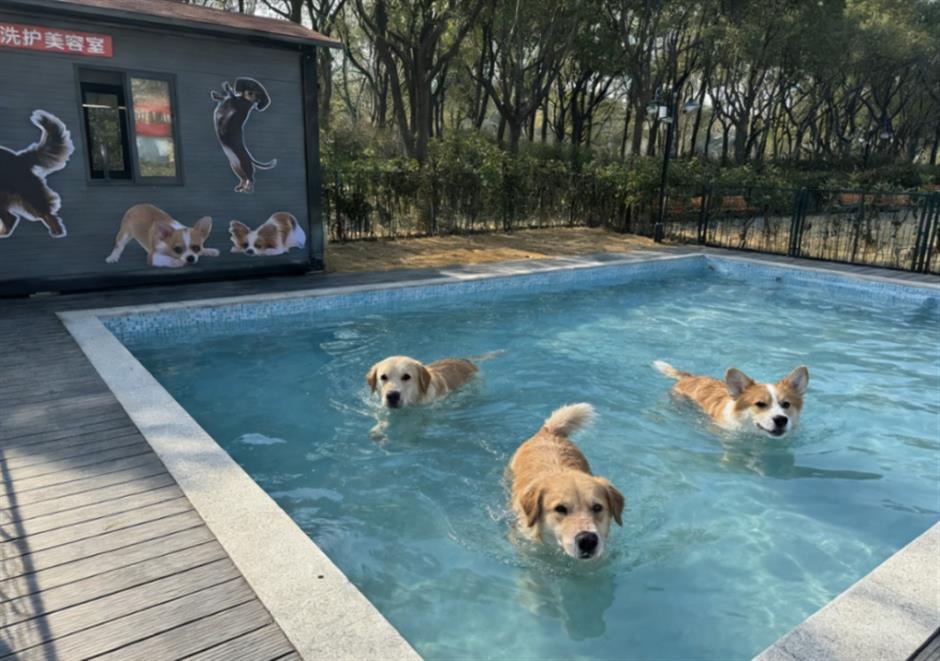 又一新地标!这个周末,带