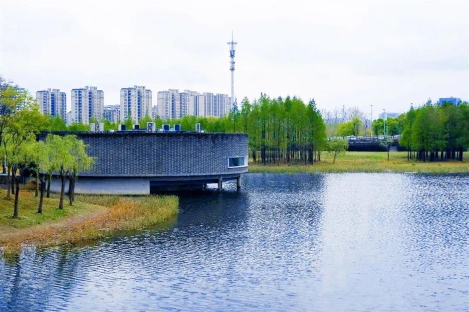 湖邊、樹上、稻田裡......上海最特別的美術館