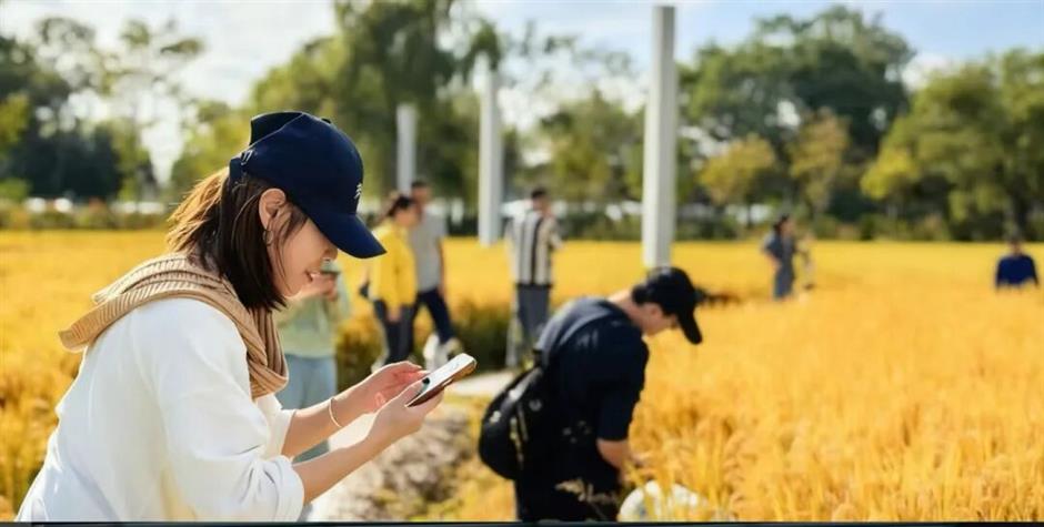 湖邊、樹上、稻田裡......上海最特別的美術館
