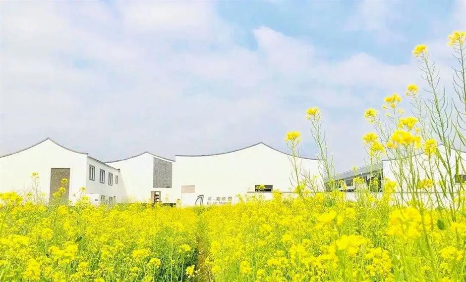 湖邊、樹上、稻田裡......上海最特別的美術館