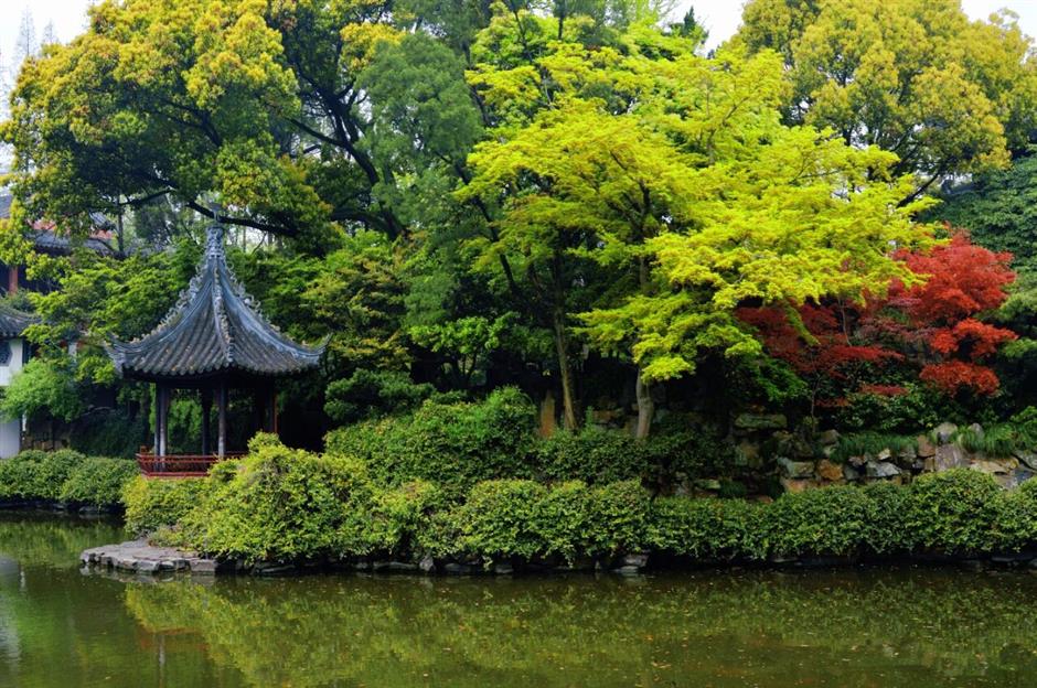 上海五大古典园林,迎来最美春色!