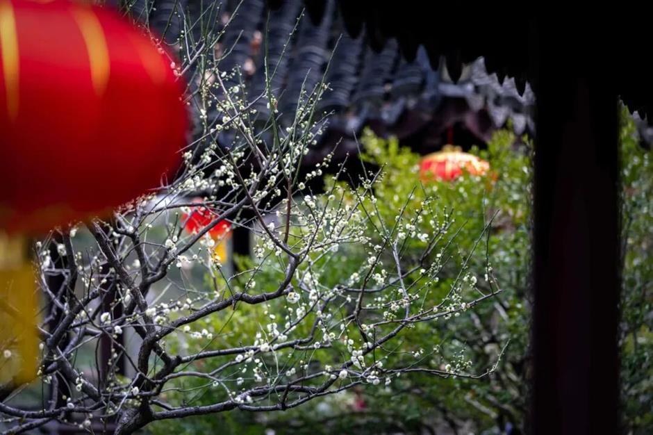 上海五大古典园林,迎来最美春色!