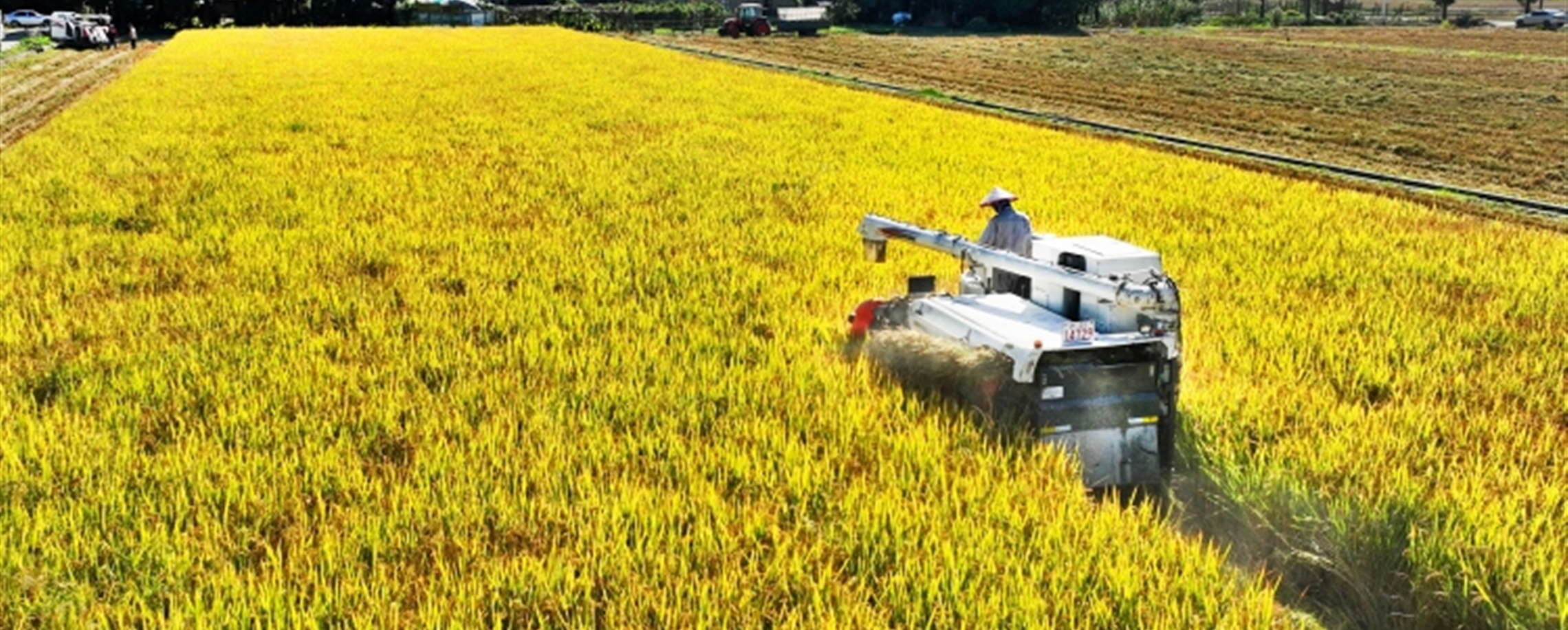 Shanghai Villages Should Not Be Mere 'Supporting Actors': NPC Delegate