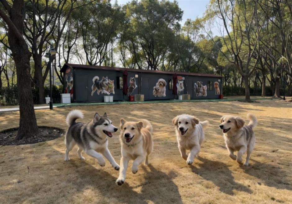 又一新地标!这个周末,带