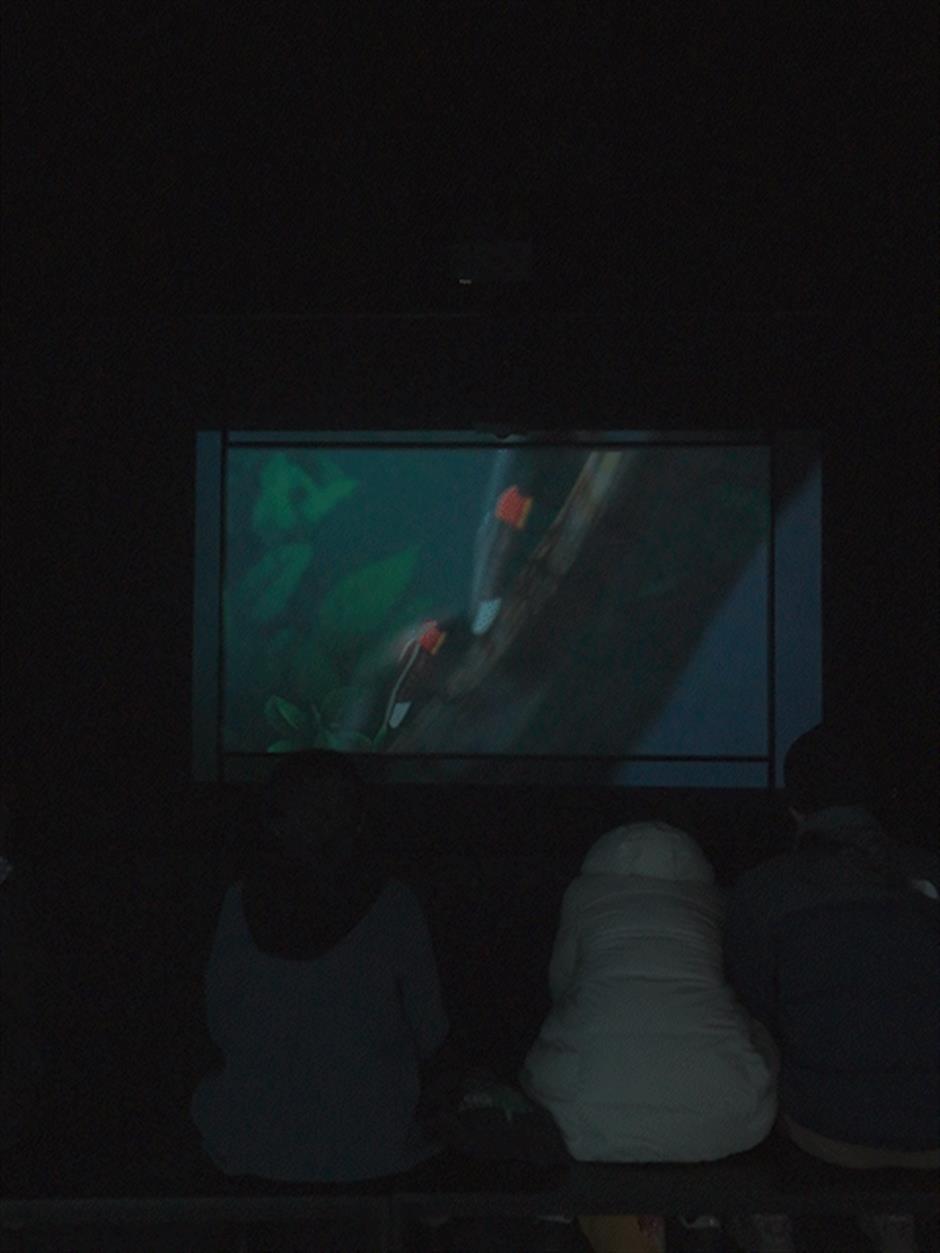 3.8妇女节,所有女性观众免票入馆