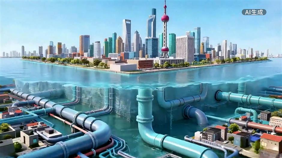 Documentary Highlights Shanghai's Sanitation Revolution for Better Life