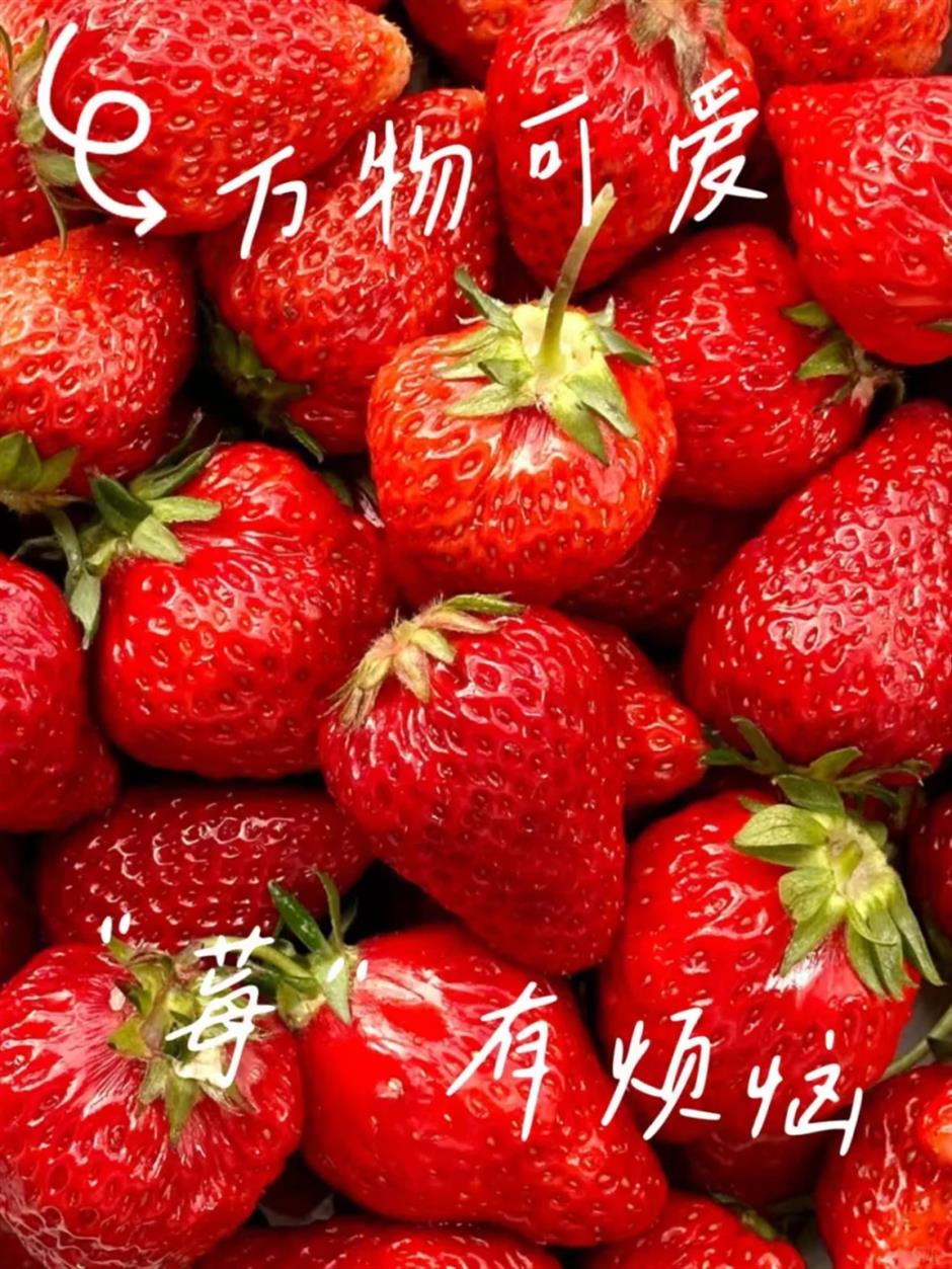 魔都三月必逛市集!把春日美好全装下了