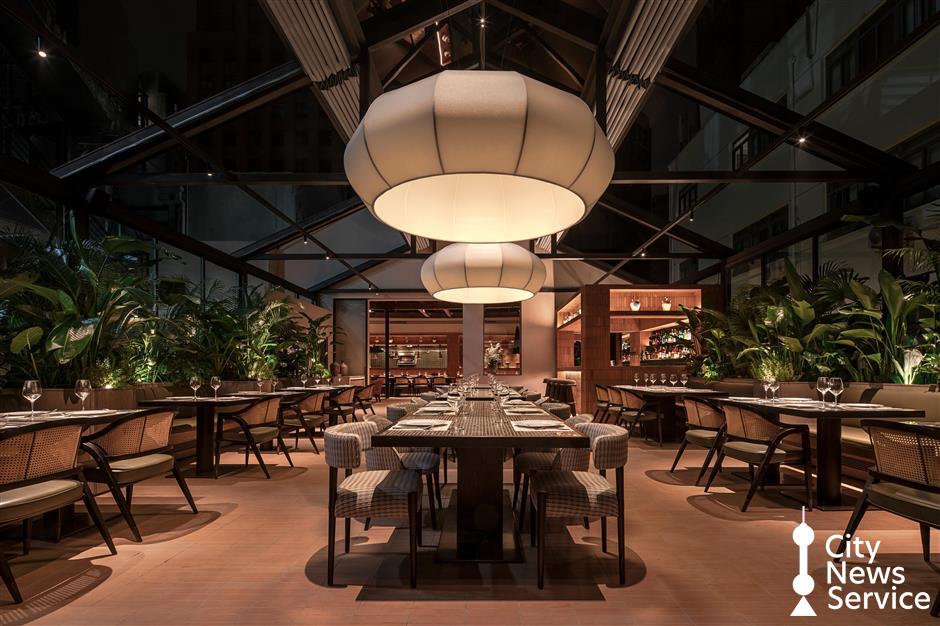 From Two Suitcases to a 70-Person Studio in Shanghai