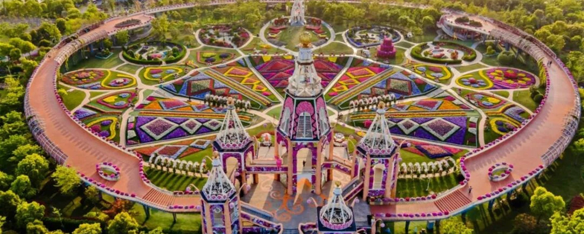 Follow the Spring Breeze to Shanghai's Flower Exhibitions