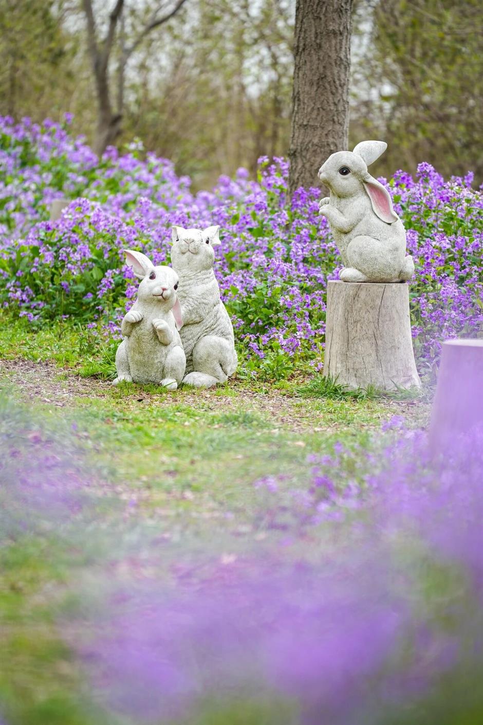 超浪漫!上海一波紫色花海盛开!