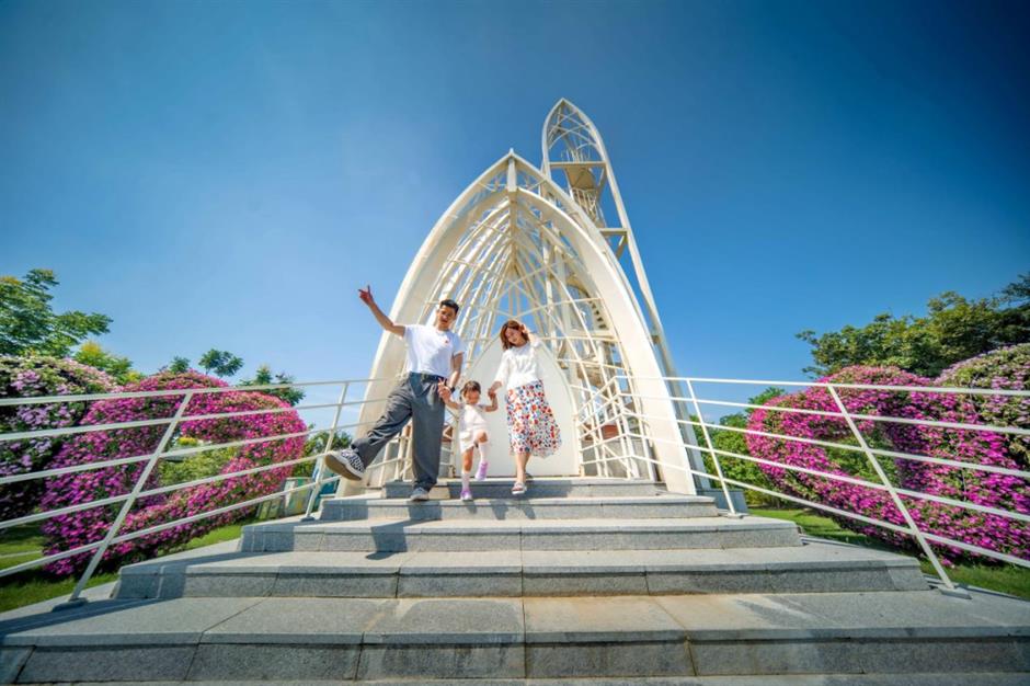 Follow the Spring Breeze to Shanghai's Flower Exhibitions