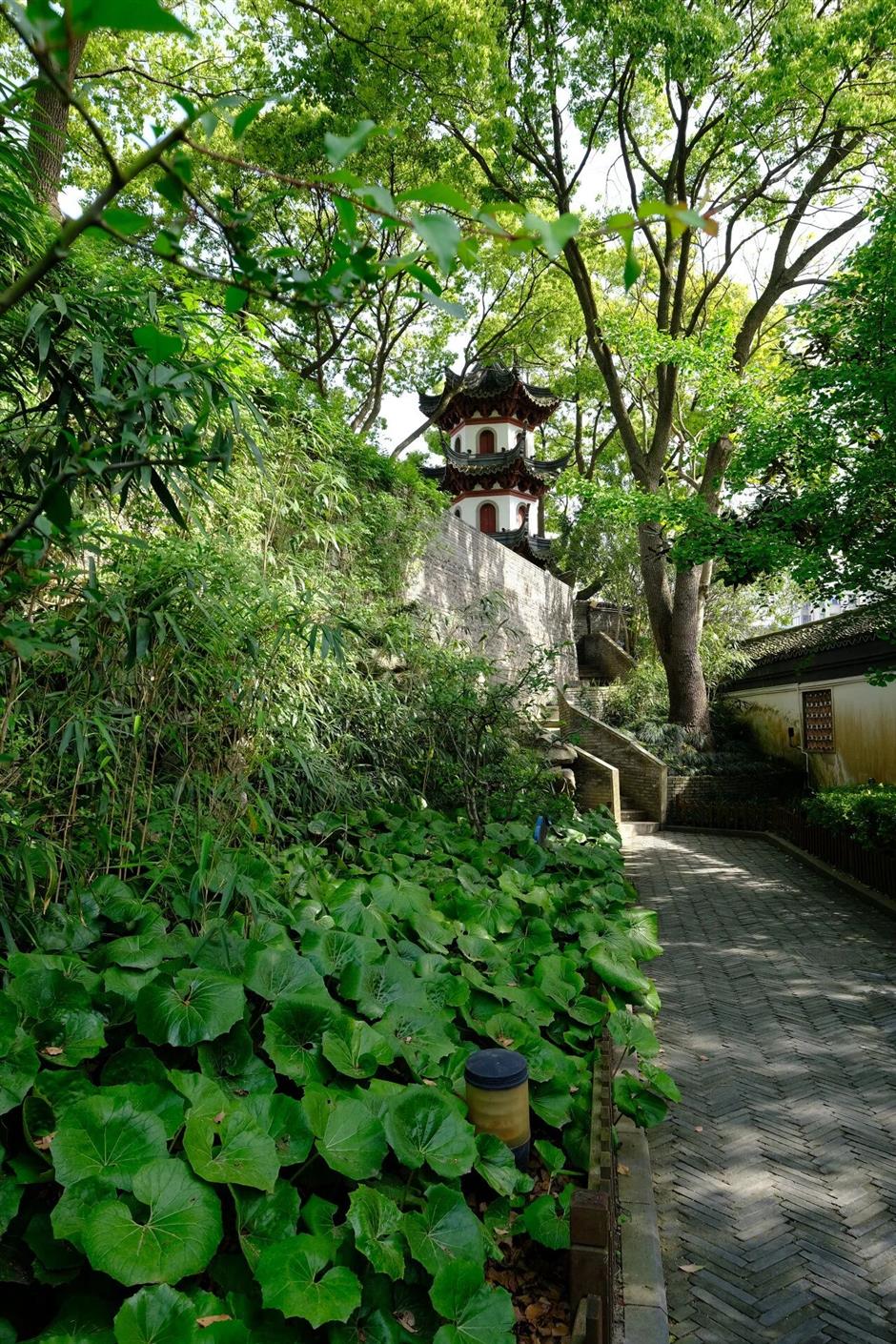 上海11个古镇被