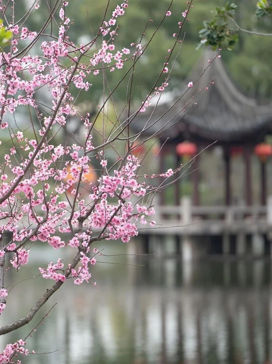 上海11个古镇被