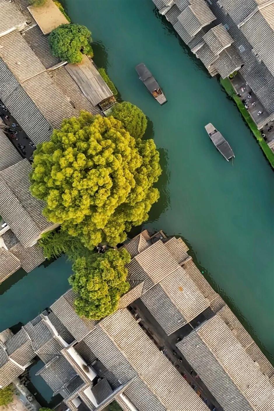 上海11个古镇被