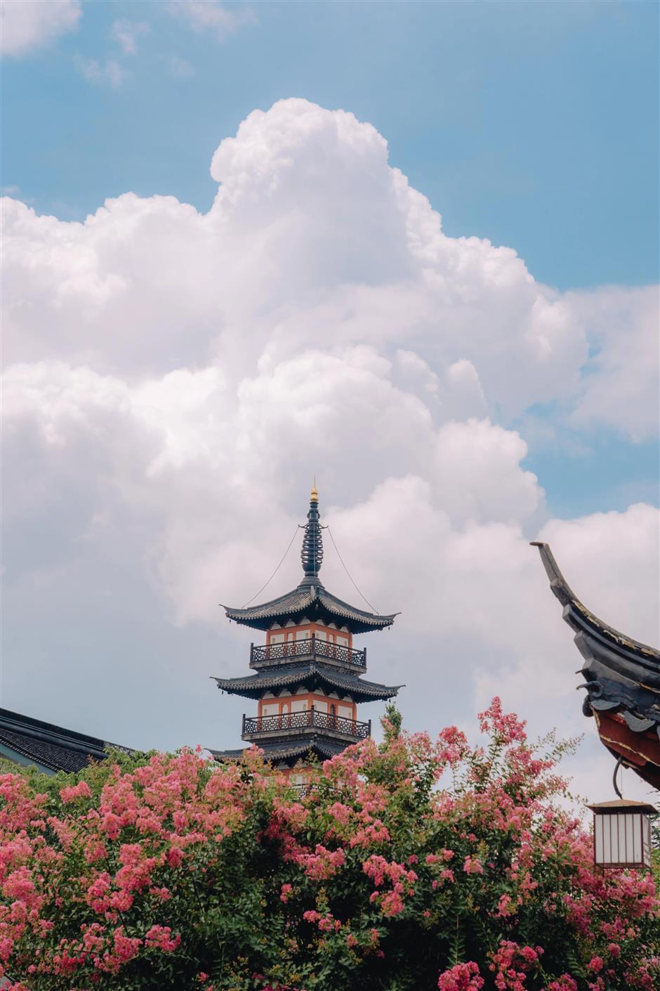 上海11个古镇被