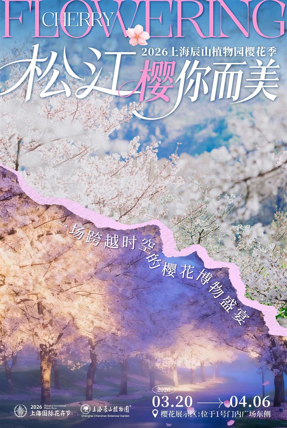 2026上海辰山植物园樱花季赏樱全攻略