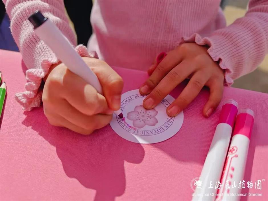2026上海辰山植物园樱花季赏樱全攻略