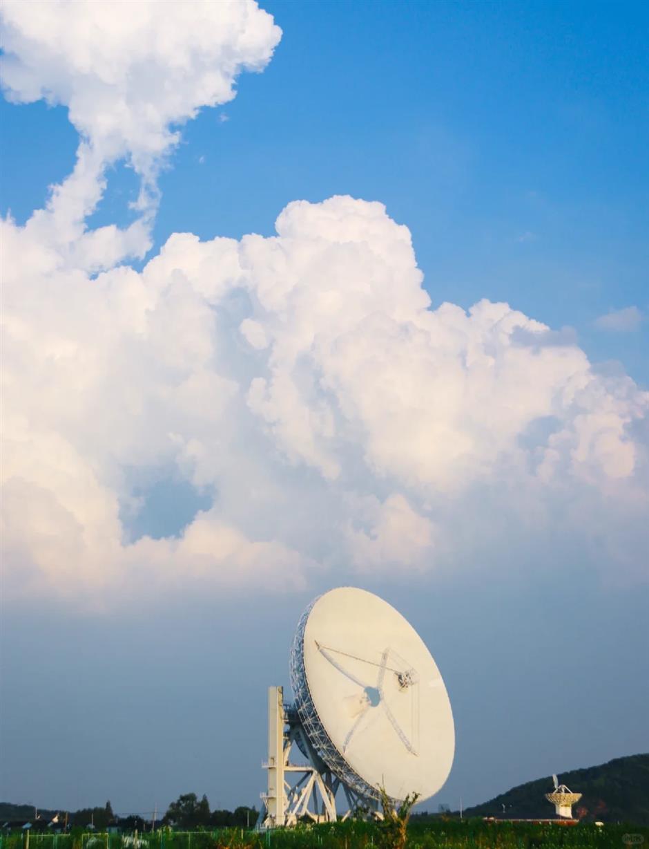 2026上海辰山植物园樱花季赏樱全攻略