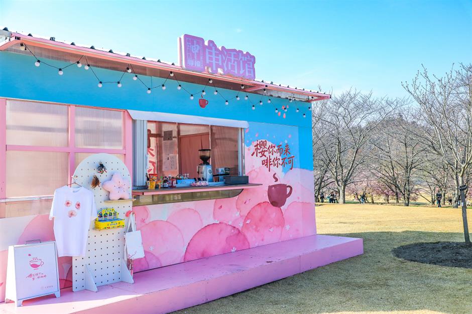 2026上海辰山植物园樱花季赏樱全攻略