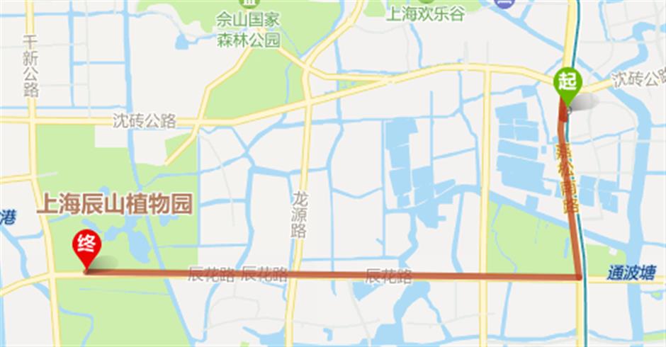 2026上海辰山植物园樱花季赏樱全攻略