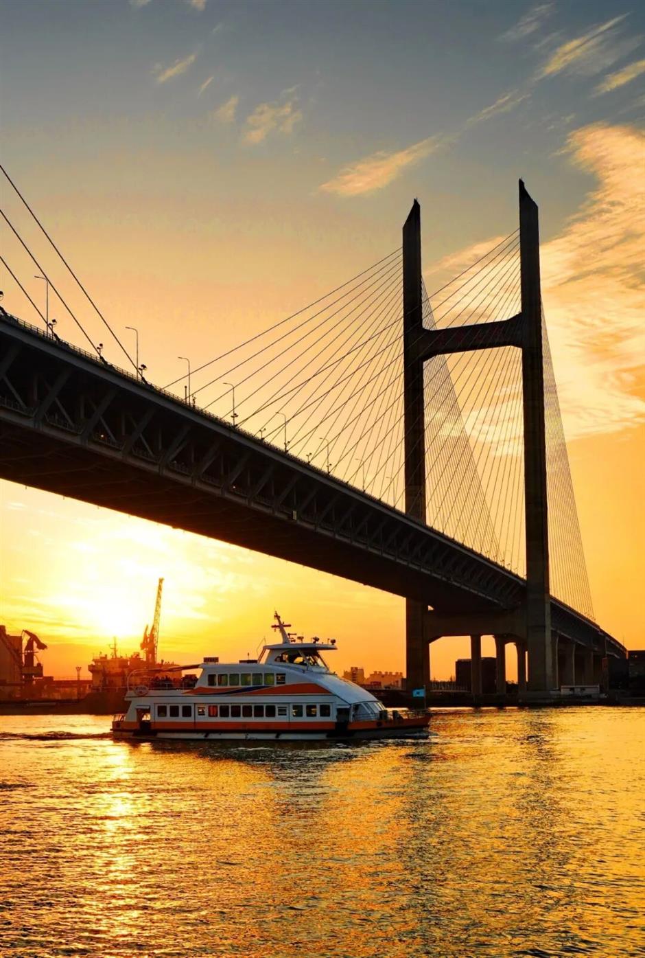 16万株郁金香+电影同款+江畔落日!上海这处秘境承包整个春天