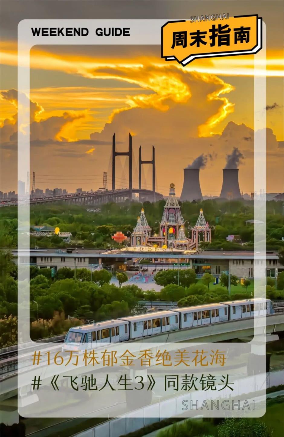 16万株郁金香+电影同款+江畔落日!上海这处秘境承包整个春天