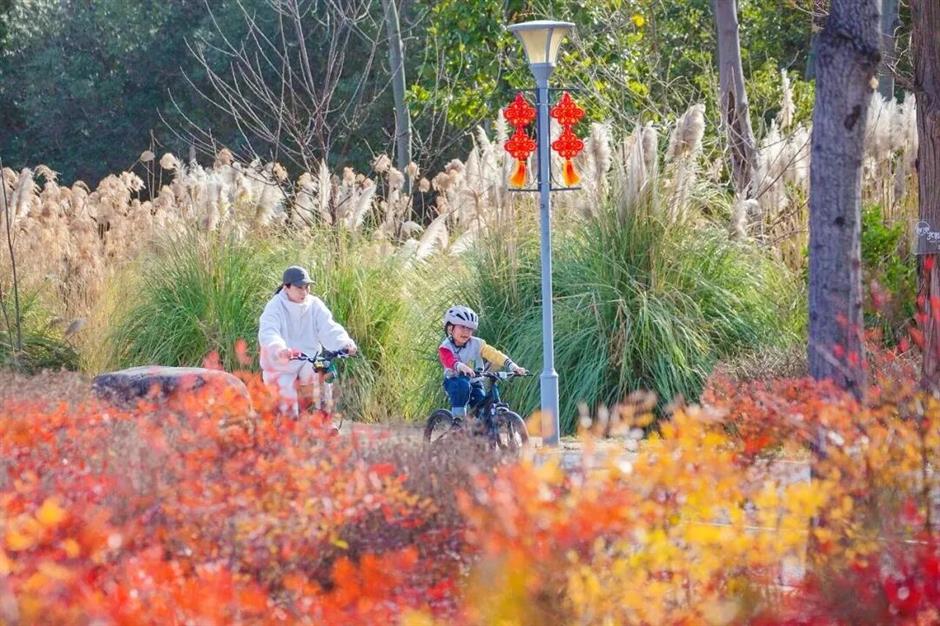 3条绝美骑行线,收藏春日上海!