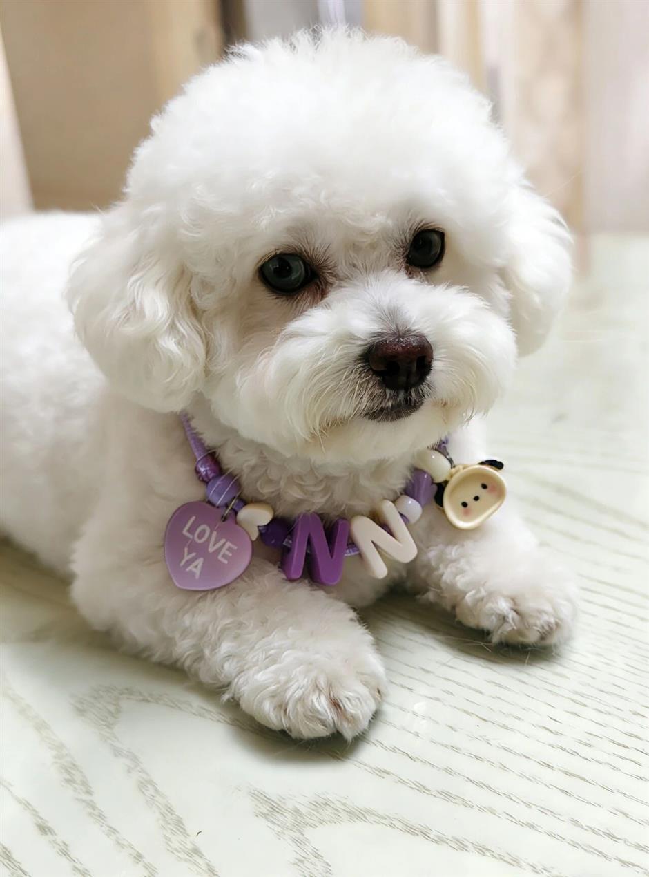 浦美限时免费艺术工坊,快来体验吧!