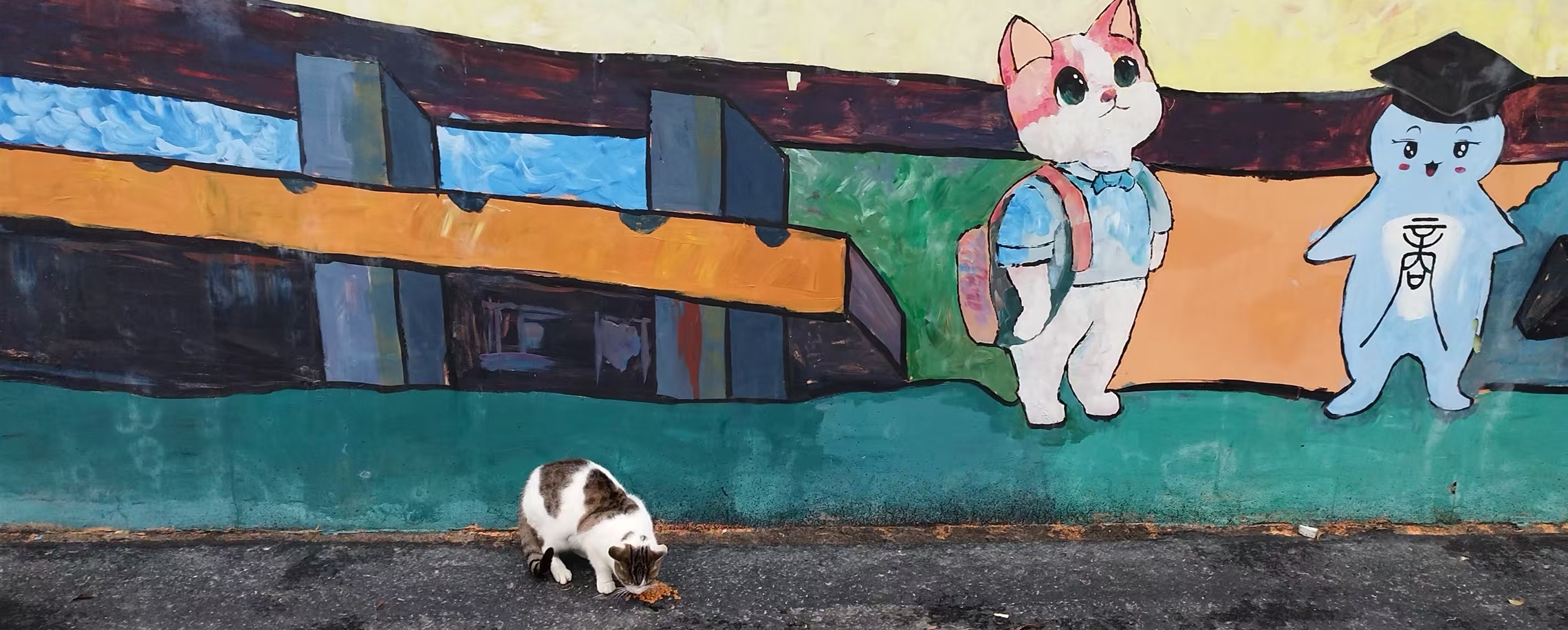 Fostering Pet-People Harmony: Shanghai's Sanctuary for Stray Cats