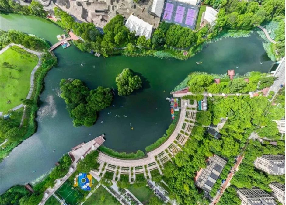 免费!上海这处樱花水岸,小众又治愈