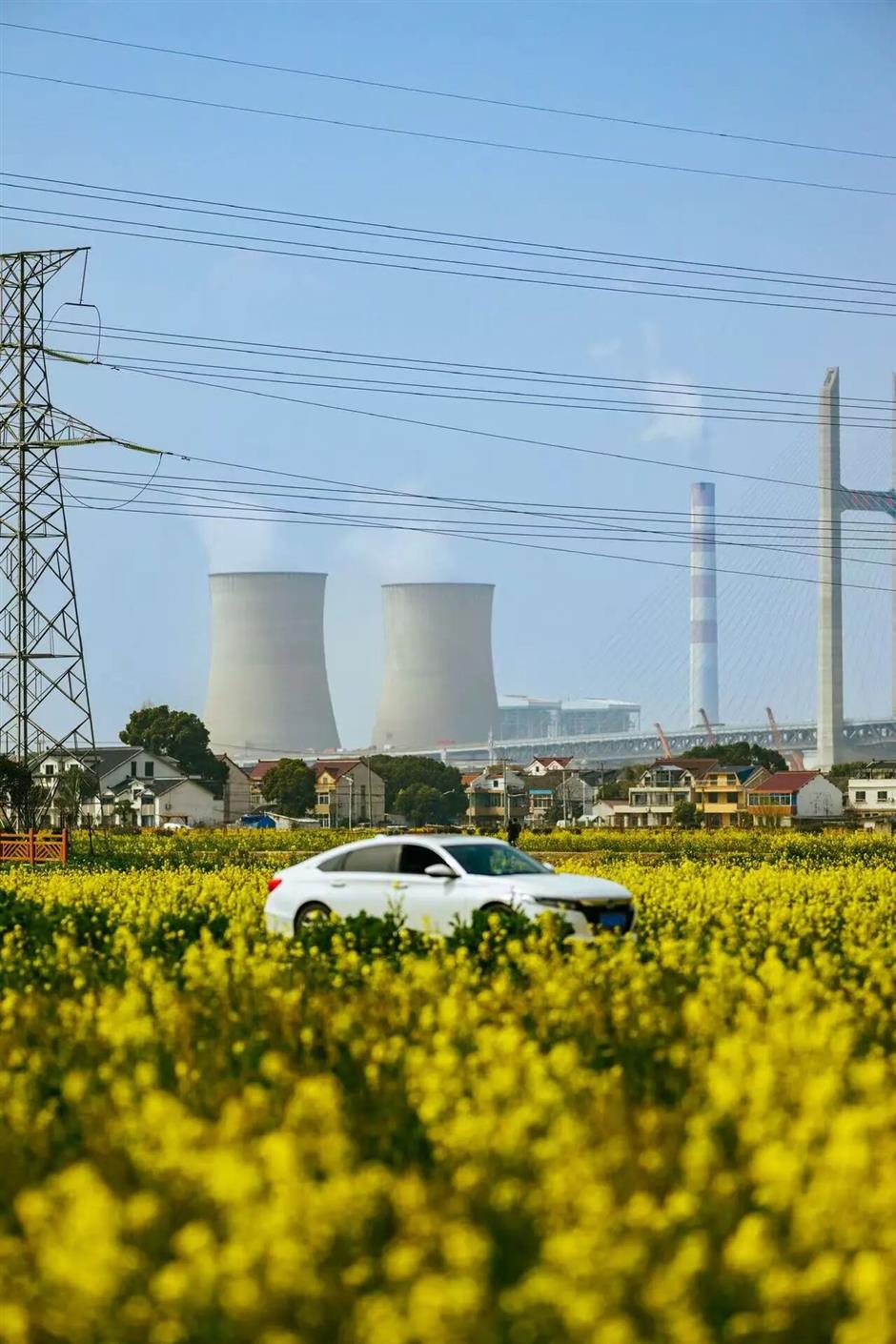 上海的七彩油菜花田,已经美成了莫奈油画!