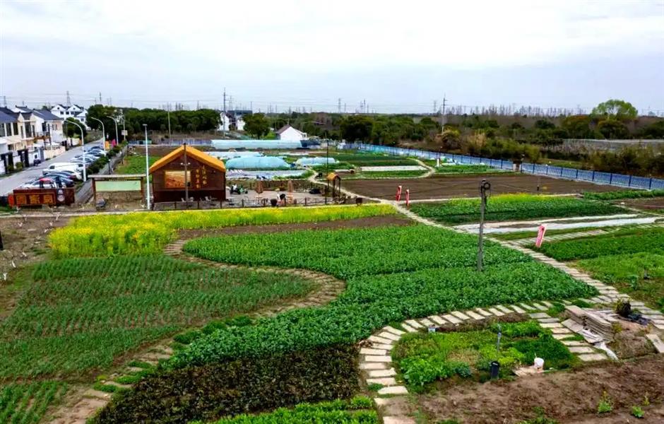 周末去哪儿?两天一晚,沉浸式玩转南上海