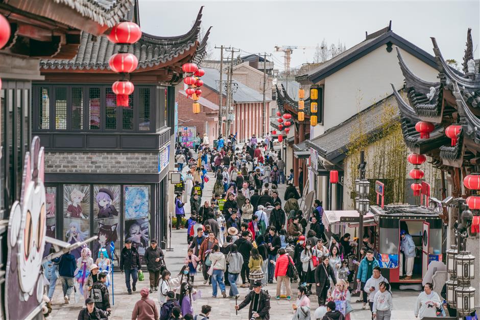 Rapeseed Flower Festival Opens in Fengxian, Highlighting Historic Lanes