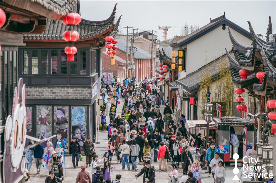 Rapeseed Flower Festival Opens in Fengxian, Highlighting Historic Lanes