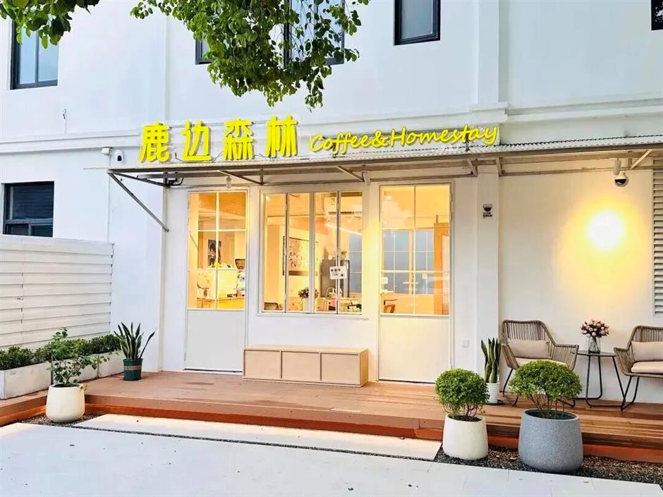 沿着这条自驾线路,解锁青浦小众人文景点