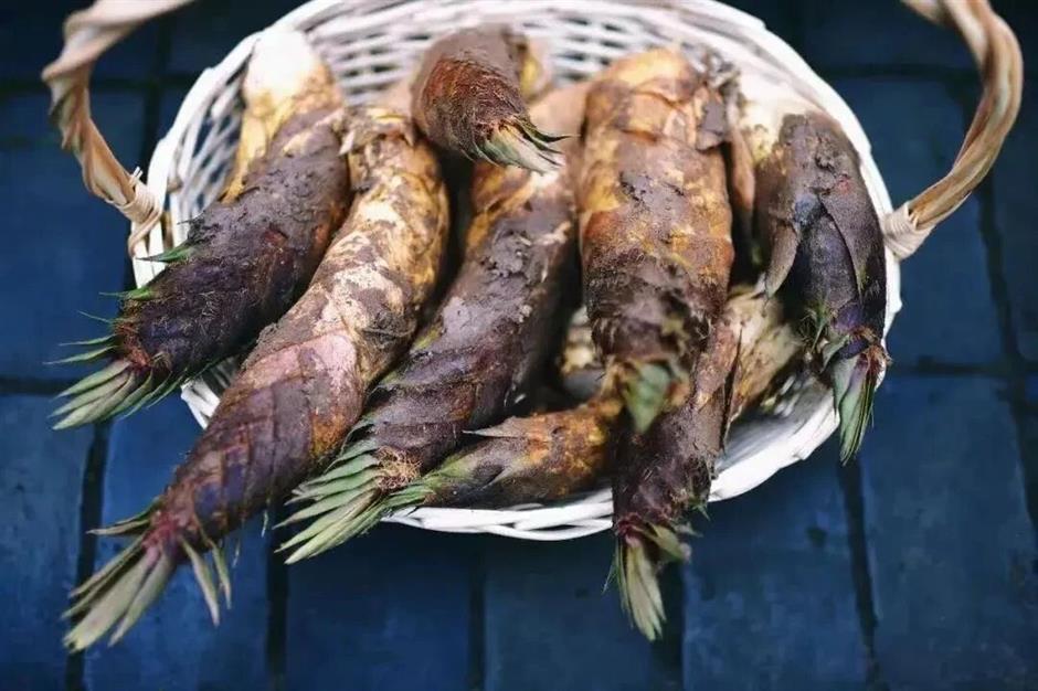 这个春天,一定要走的5条赏花步行线!