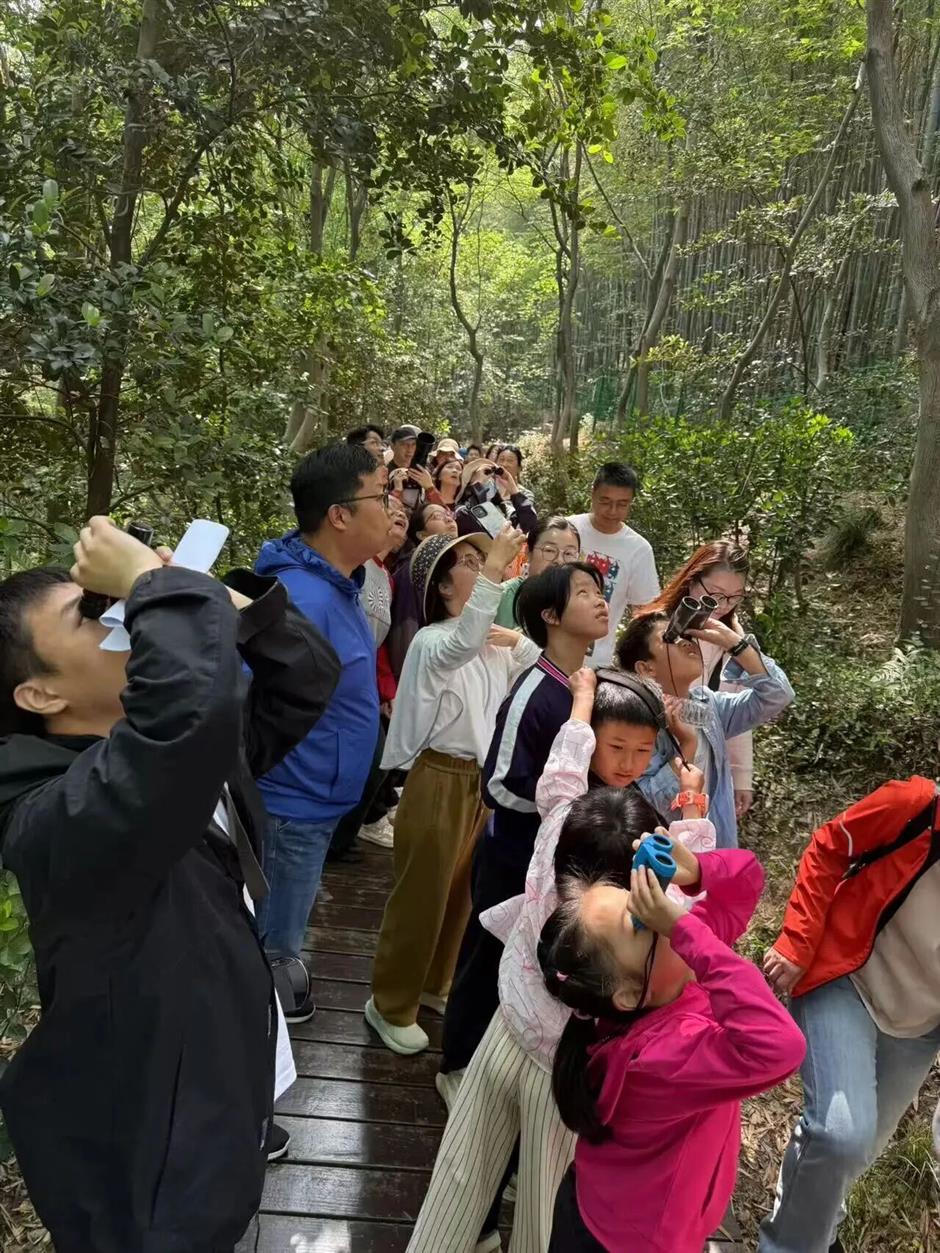第二十四届佘山兰笋文化季即将启幕,十大亮点带你解锁春日奇乐旅程