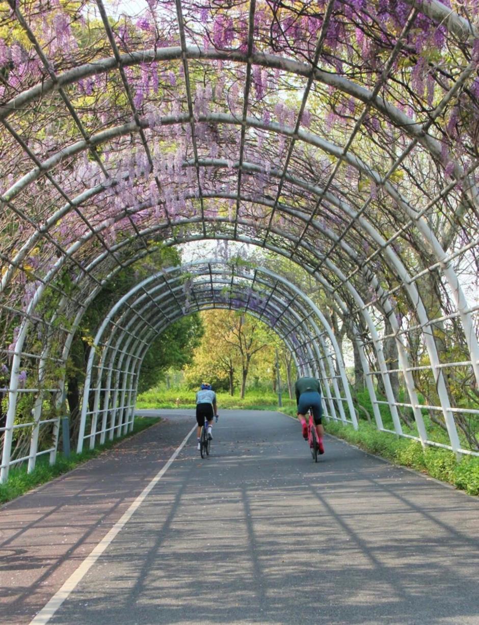 这个春天,一定要走的5条赏花步行线!