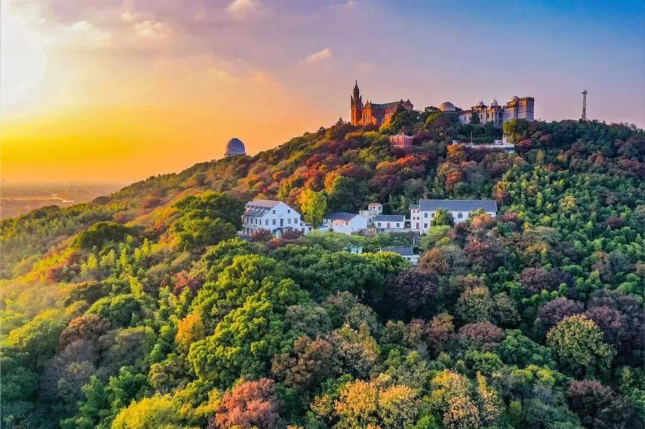 第二十四届佘山兰笋文化季即将启幕,十大亮点带你解锁春日奇乐旅程