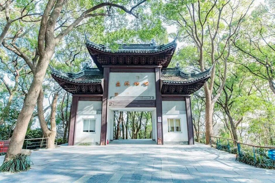 第二十四届佘山兰笋文化季即将启幕,十大亮点带你解锁春日奇乐旅程