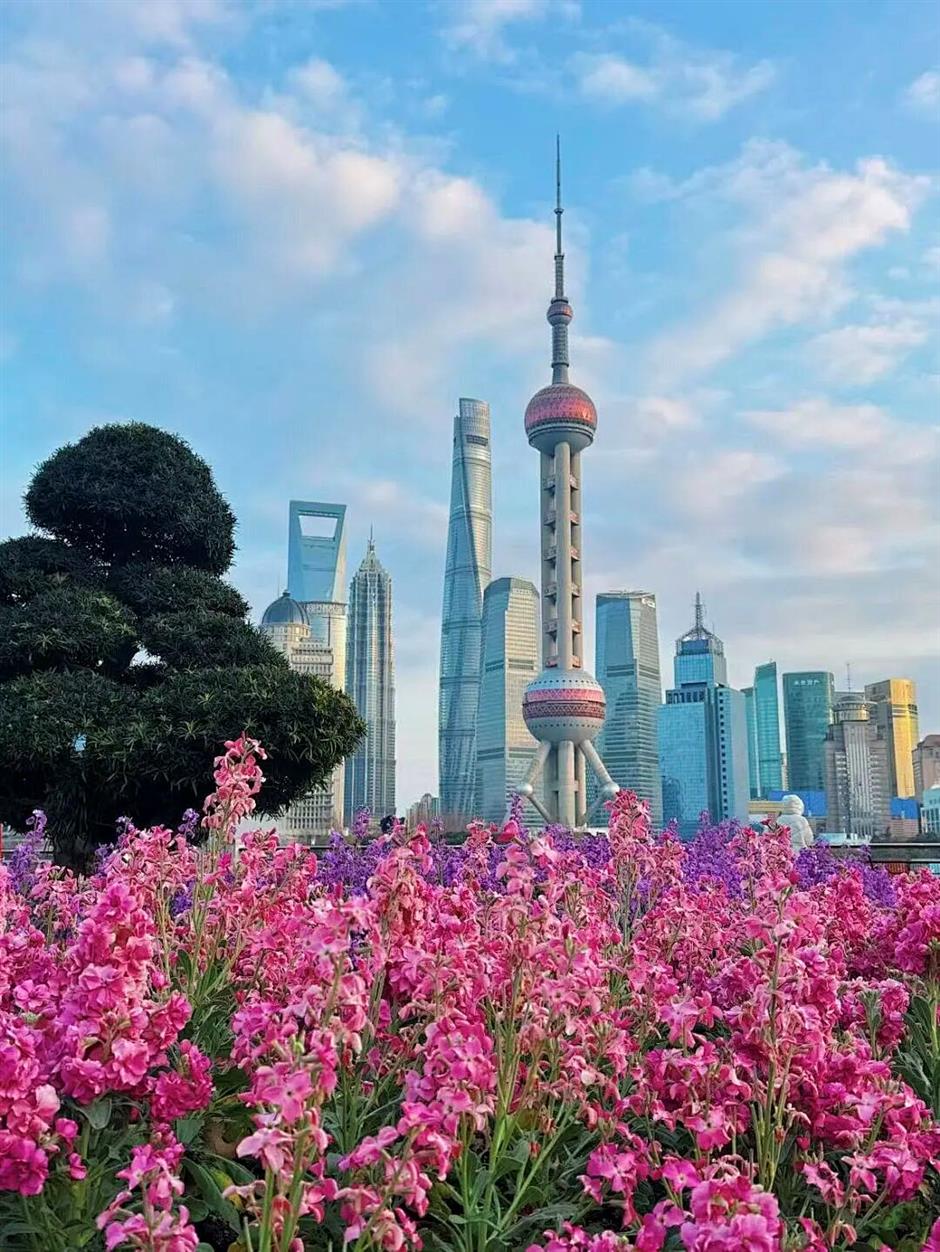 这个春天,一定要走的5条赏花步行线!