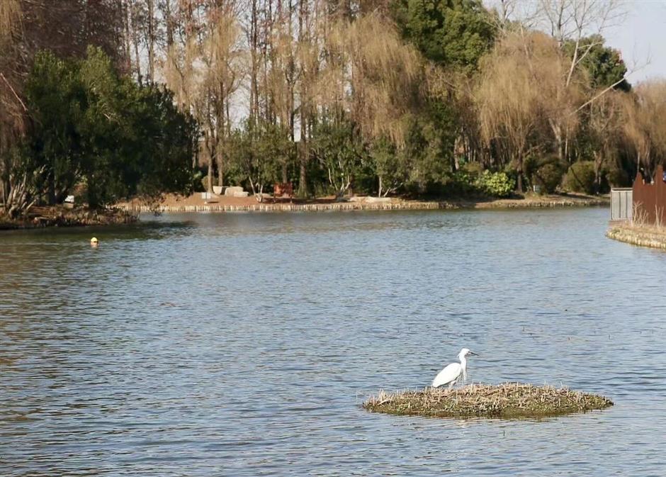 这个春天,一定要走的5条赏花步行线!