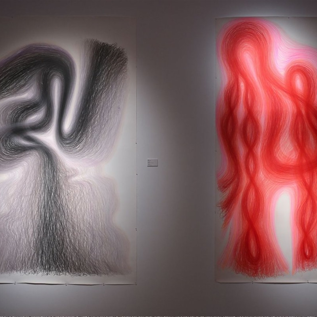 Interpreting 'Parrotgration,' a Parisian urban legend