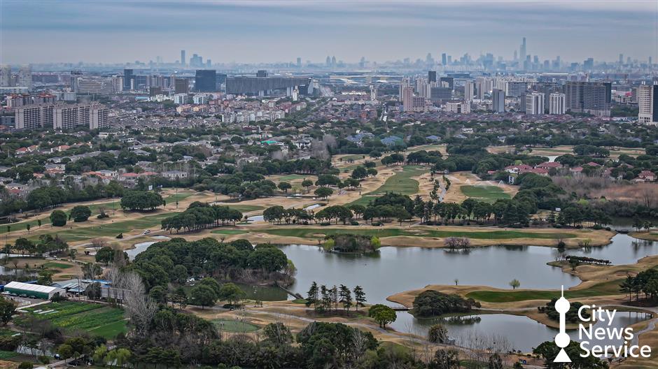 Hongqiao Hub Marks Five Years of Driving Global Trade and Foreign Investment
