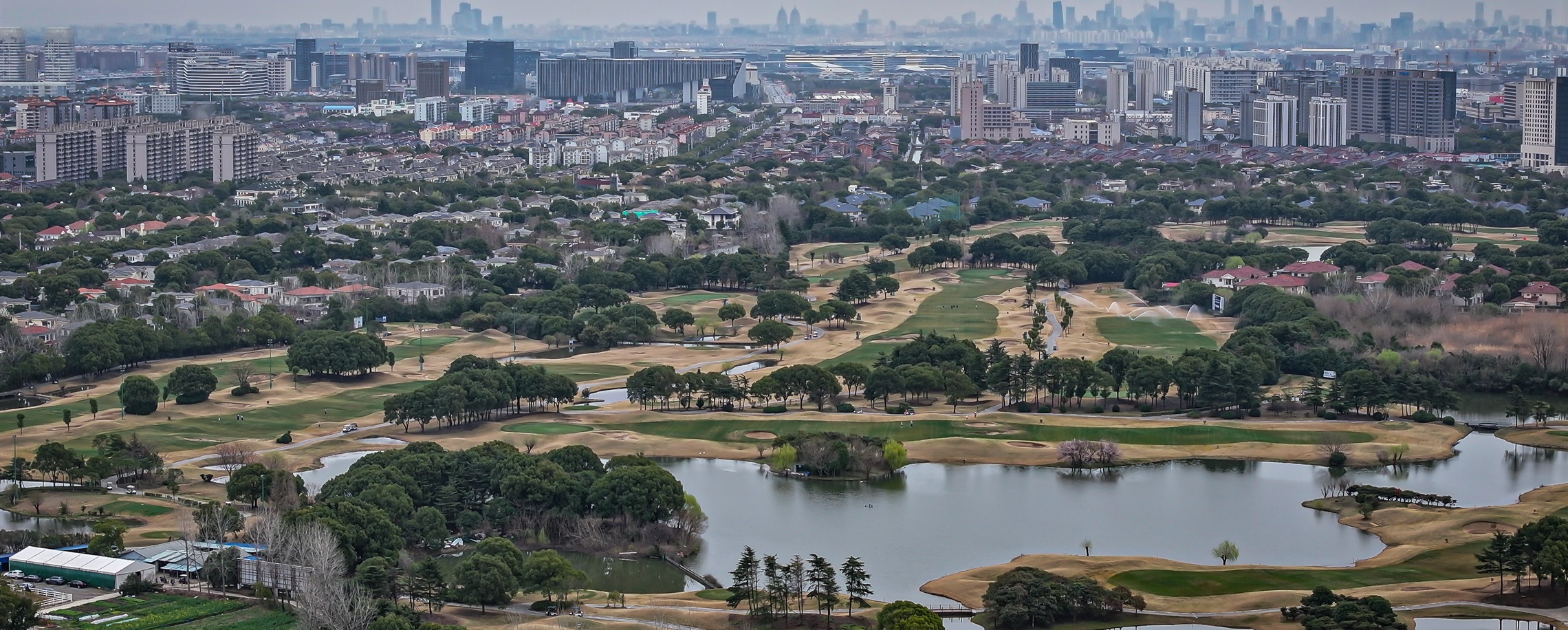 Hongqiao Hub Marks Five Years of Driving Global Trade and Foreign Investment