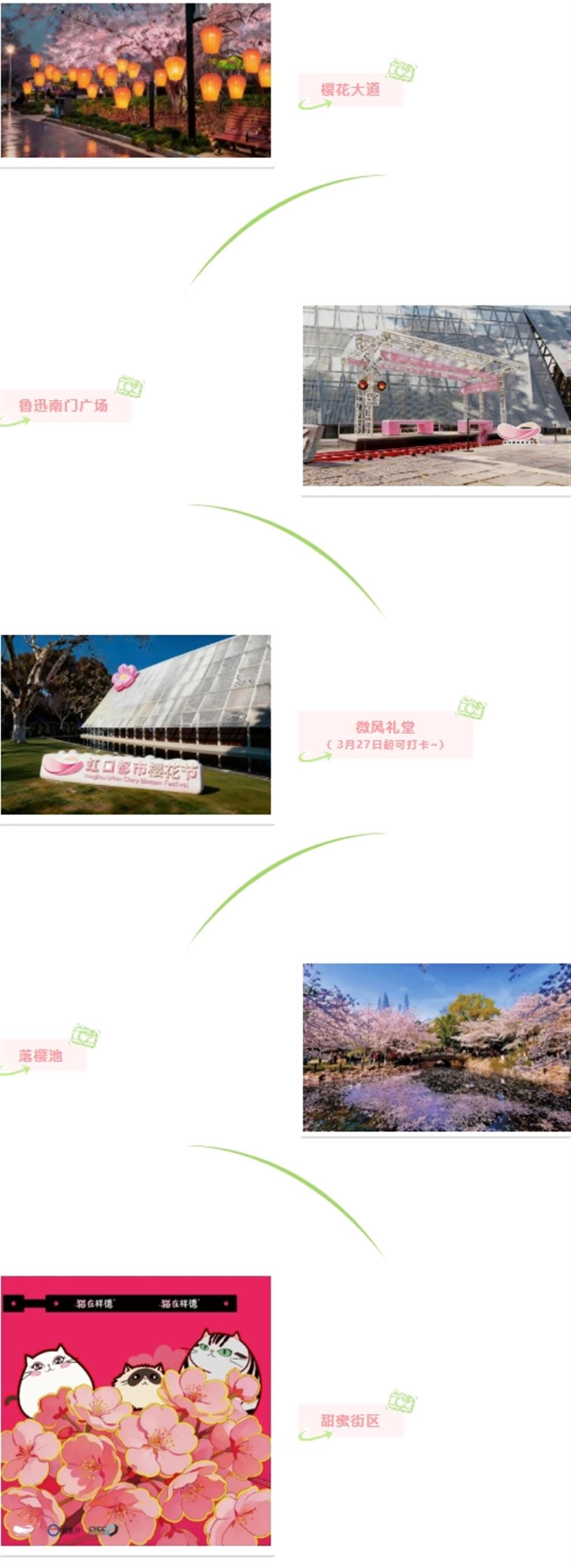 限时一周!虹口都市樱花节回归